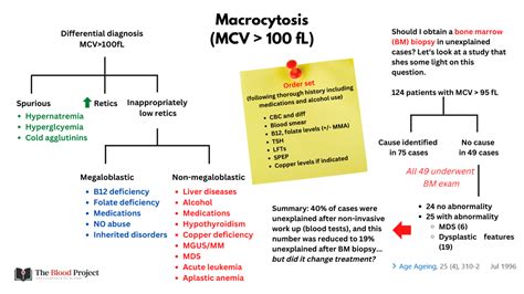 Macrocytic Anemias • The Blood Project