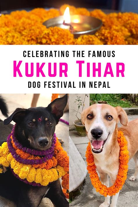 Celebrating Kukur Tihar: the Nepal Dog Festival ⋆ Full Time Explorer