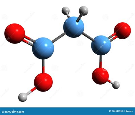 3D Image of Malonic Acid Skeletal Formula Stock Illustration - Illustration of acetyl, organic ...