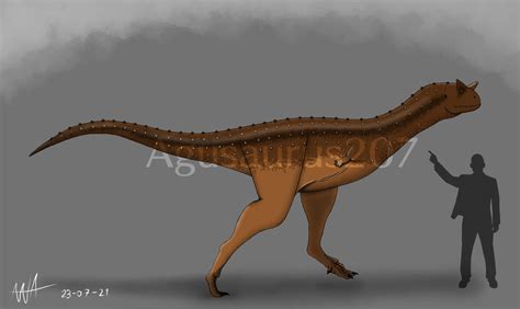 Carnotaurus sastrei size comparison by Agusaurus207 on DeviantArt