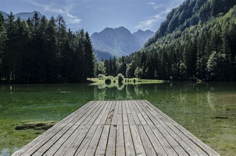 Free Images : tree, nature, forest, wilderness, dock, sky, wood, lake ...