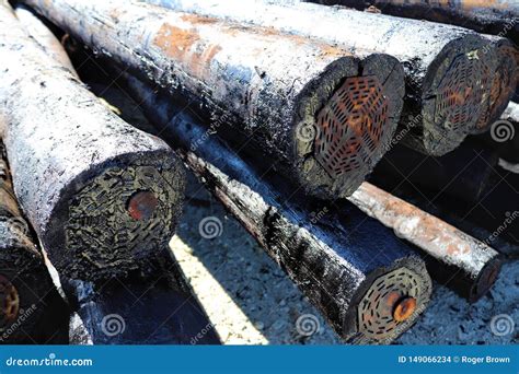 Creosote treated poles stock photo. Image of black, pile - 149066234