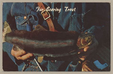 Fur-Bearing Trout | thesquirrelsgranary.com