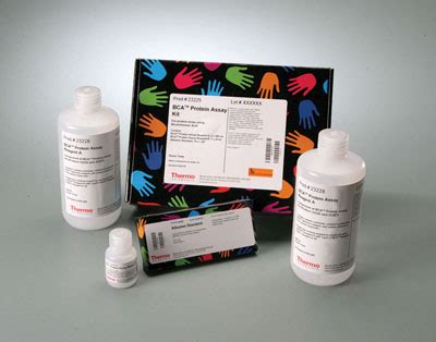 Thermo Scientific™ Compat-Able™ BCA Protein Assay Kit Kit with BCA Protein Assay; 500mL/500mL ...