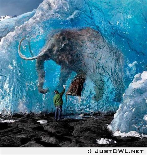 In ice condition: Amazingly preserved woolly mammoth found frozen in Siberia after 39,000 YEARS ...