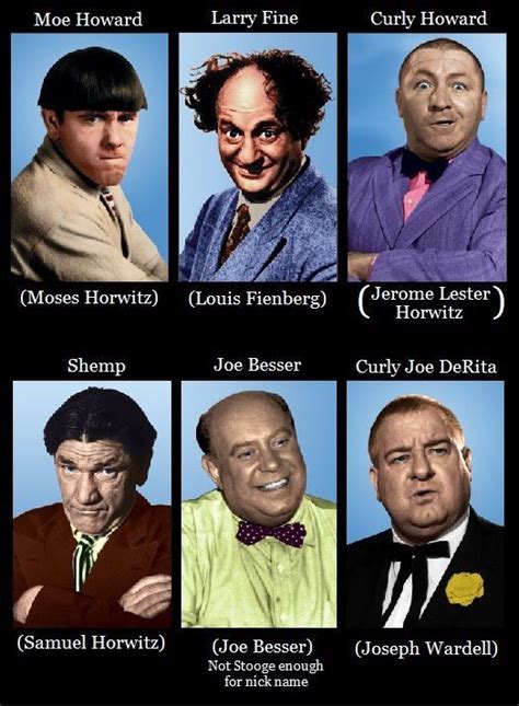 The whole Stooge family tree. | The three stooges, Classic comedies, Old tv shows