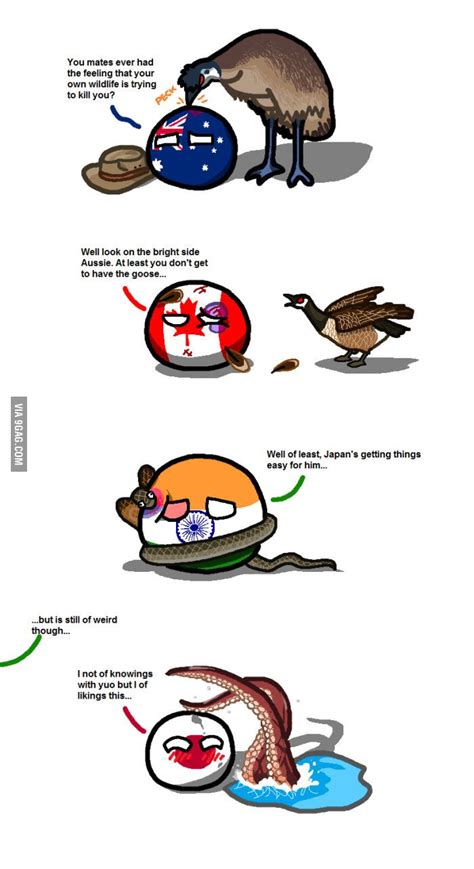 117 best Countryballs - Meme, T-shirts, Shoes, Cases, Pillows, Accessories, Stickers images on ...