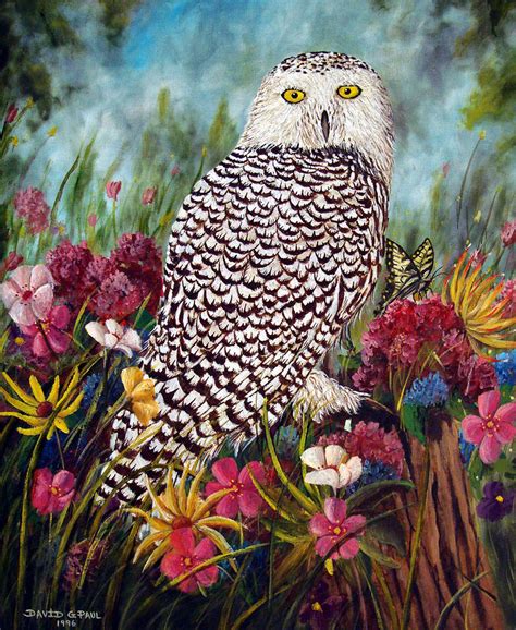 Snowy Owl Painting by David G Paul - Fine Art America