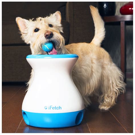 Fetch Toys – iFetch