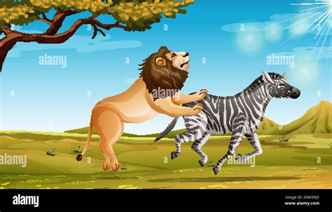 Lions hunting zebra Stock Vector Images - Alamy