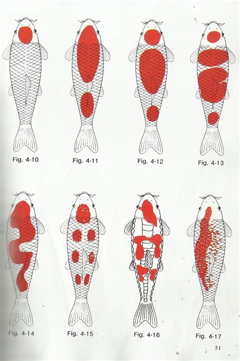 Kinds of Kohaku Step-type There are some kohakus with step type ...