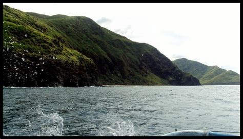 The Traveller: Anawangin Beach Cove Zambales, Philippines