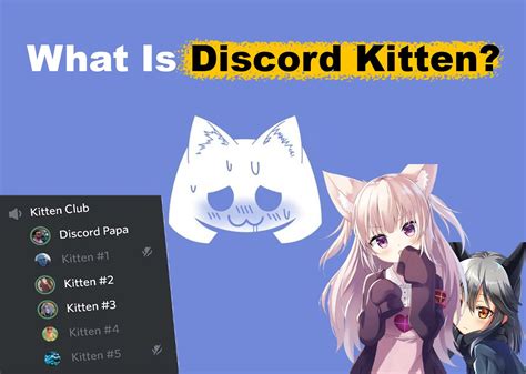 Discord Kitten Explained [What They Are & What They Do] - Alvaro Trigo ...