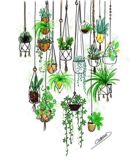 🌿 50 shades of green . by Chloé Dijon | Plant tekening, Bloemtekening ...