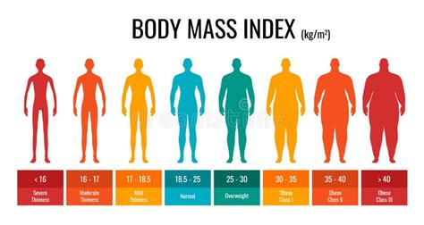 BMI Classification Chart Measurement Man Set. Male Body Mass Index ...