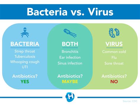 Can Bacteria Destroy A Virus: Unveiling The Microscopic Battle