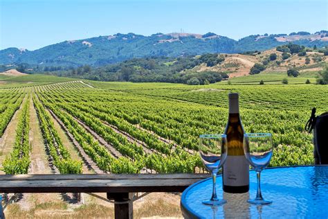 The 11 Best Wineries in Sonoma County