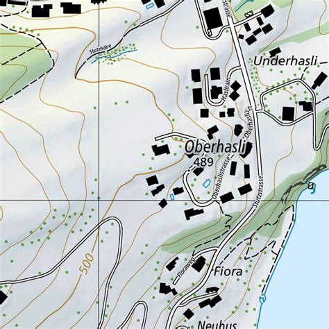 Horw, 1:10,000 Map by SwissTopo | Avenza Maps