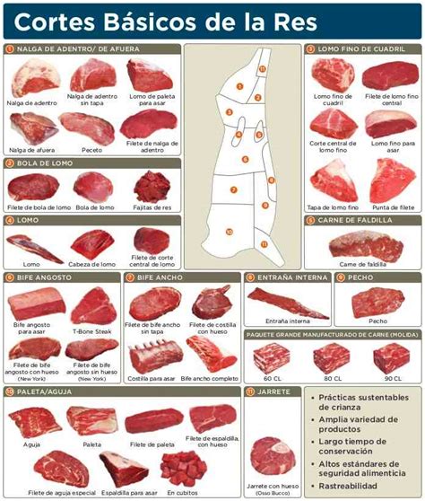 Tipos De Carne • TIPOSDE