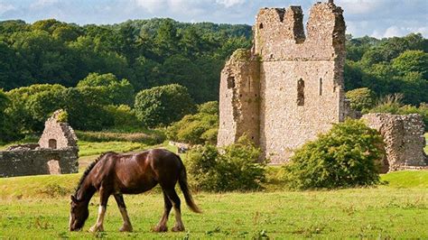 Ogmore Castle with horse in foreground | Castles in wales, Romantic breaks, Natural landmarks