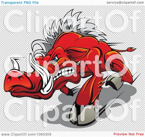 Razorback Vector at GetDrawings | Free download