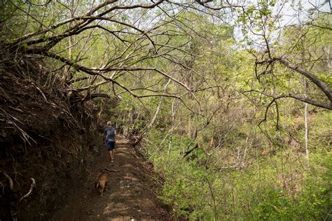 The Hiking Trails at Las Catalinas