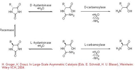 11.1: Acylation of Alcohols and Amines - Chemistry LibreTexts