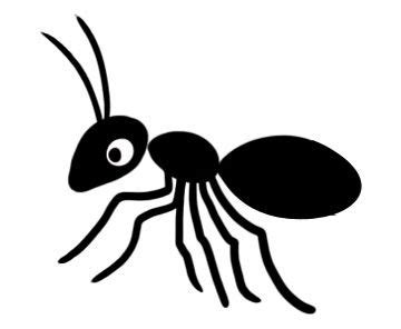 an ant bug with long legs and large eyes