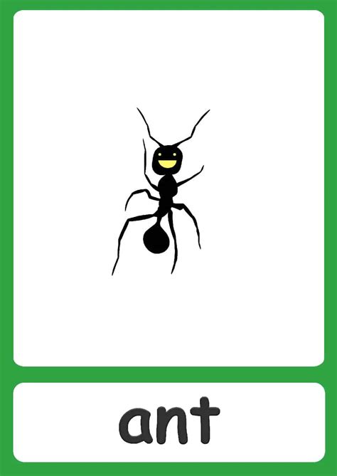 Bugs Flashcards - Simple insect flashcards for your classroom