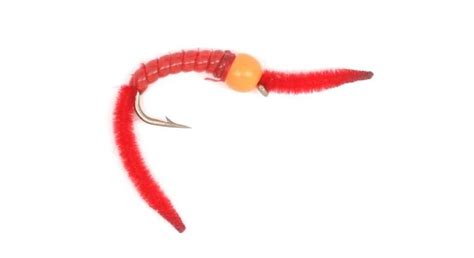 The San Juan Worm Fly Pattern | Fly Fishing Field Guides