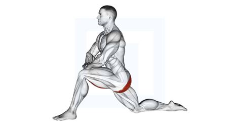 Kneeling Hip Flexor Stretch - Guide, Benefits, and Form