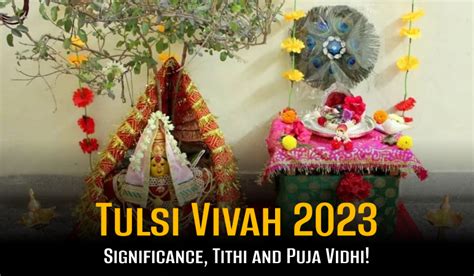 Tulsi Vivah 2023: Significance, Tithi and Puja Vidhi! - Namoastro