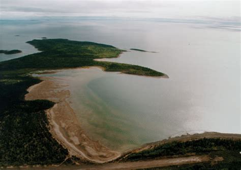 The Encyclopedia of Saskatchewan | Details