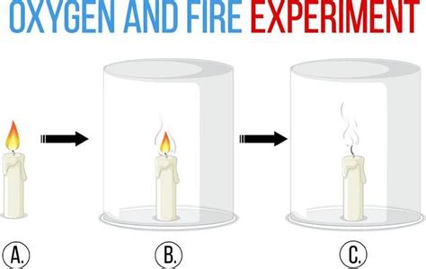 Candle Experiment Vector Art, Icons, and Graphics for Free Download