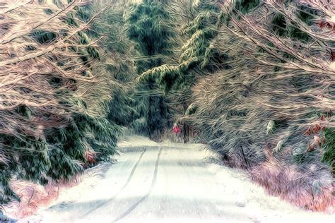 Stop Sign on Snowy Road Photograph by Chester Wiker - Fine Art America