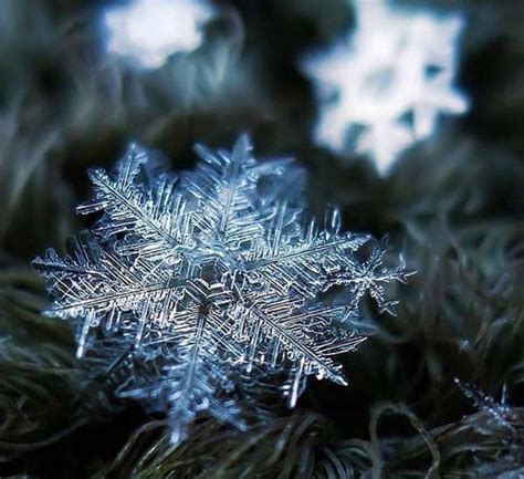 Snowflake Photography with Macro Lens | Copos de nieve, Paisaje nieve, Nieve