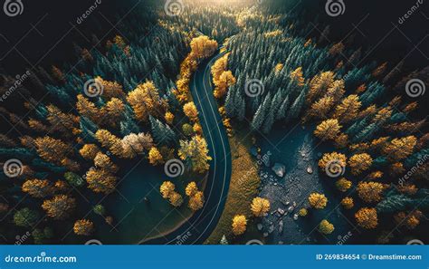 Road among the Autumn Forest, Top View. Stock Photo - Image of outdoor ...