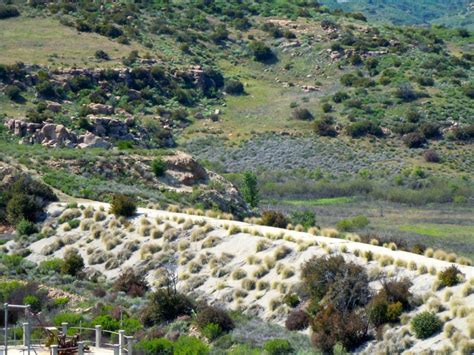 The Chatsworth Nature Preserve Is Open One Day a Year - Northridge, CA Patch