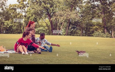 Best friends on picnic Stock Photo - Alamy