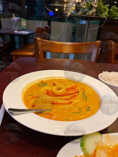 Red Curry Soup – Techtonics Pro