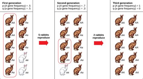 Other Mechanisms of Evolution | Biological Principles