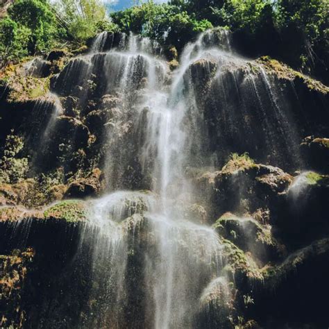 Tumalog Falls: Unmissable Waterfall On Cebu | What Do You Sea