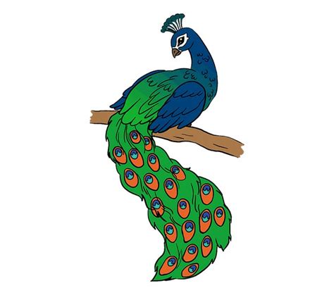 Update more than 127 easy peacock drawing with colour super hot - vietkidsiq.edu.vn
