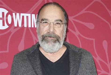 Mandy Patinkin Joins The Good Fight Season 5 as Highly Unqualified ...