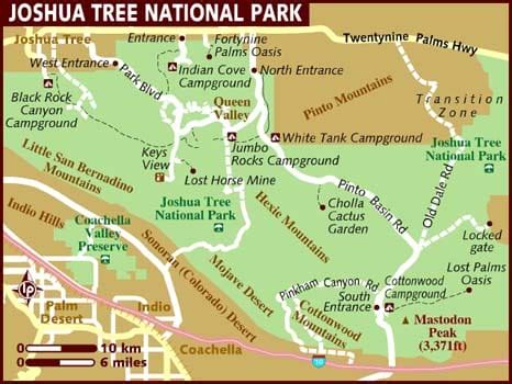 10 Best Things To Do In Joshua Tree National Park