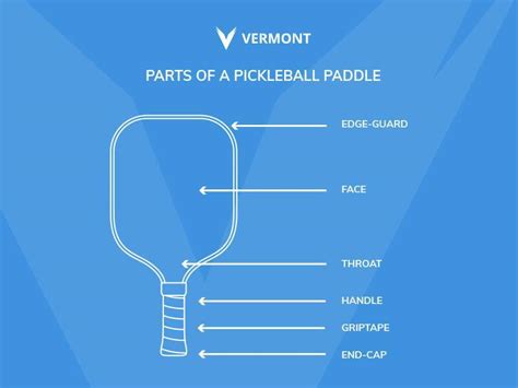 Pickleball Paddle Size, Shape & Weight Guide | Net World Sports