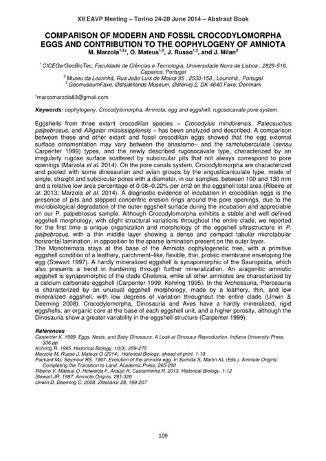 (PDF) Comparison of modern and fossil Crocodylomorpha eggs and ...