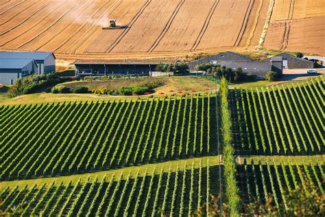 Rathfinny: In the Drivers’ seat - World Of Fine Wine