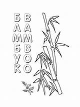 Bamboo coloring pages sketch template
