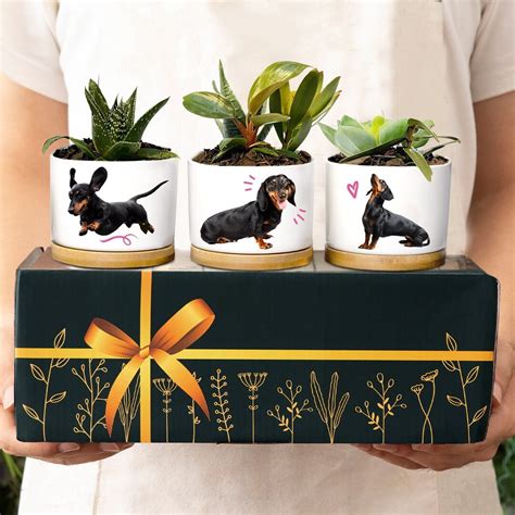 Dachshund Planters Dachshund Gifts for Women & Men Premium - Etsy